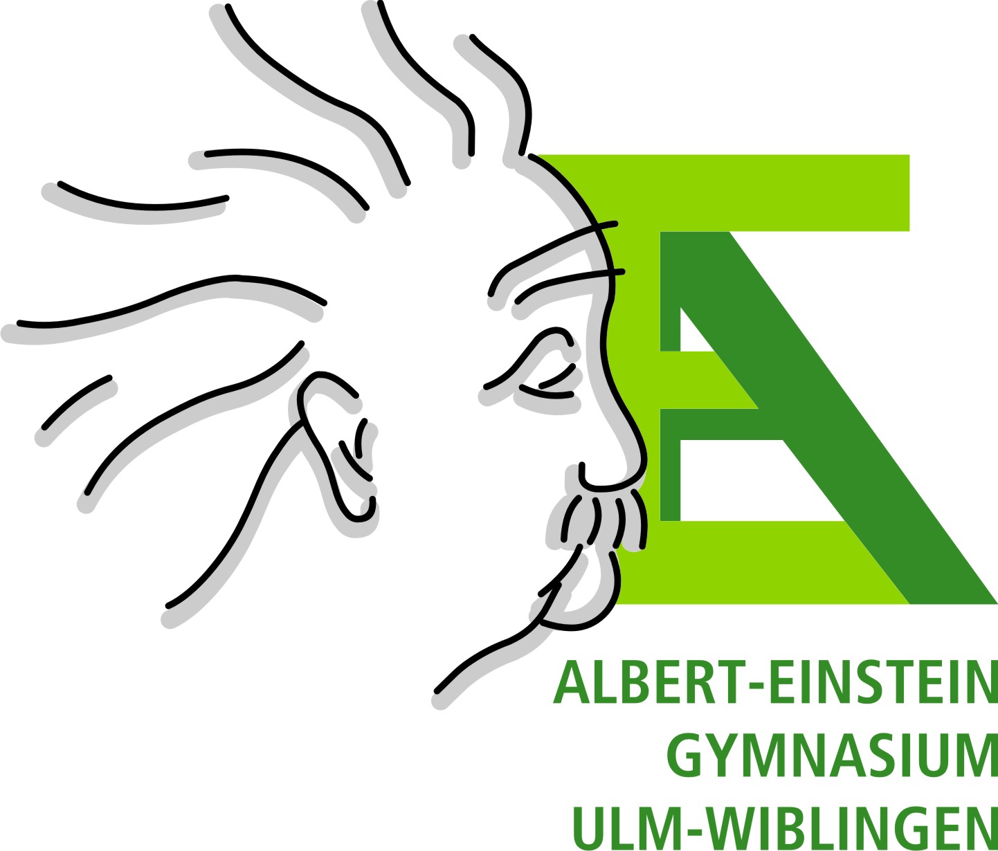 Logo von Unternehmen Albert-Einstein-Gymnasium Ulm-Wiblingen